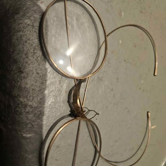 Set of 4 Antique Eye Glasses with 2 Cases Spectacles Prince Nez - Picture 6 of 7